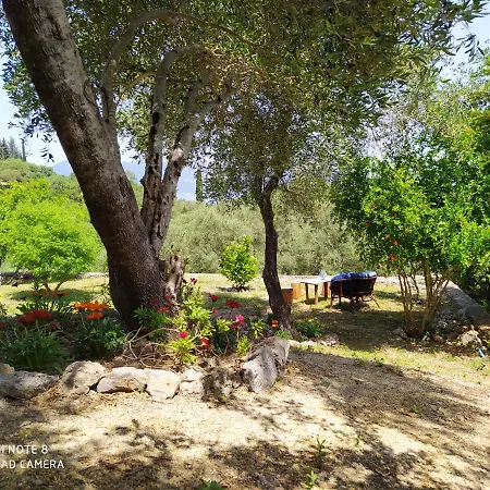 Corfu Galini וילה Potamós